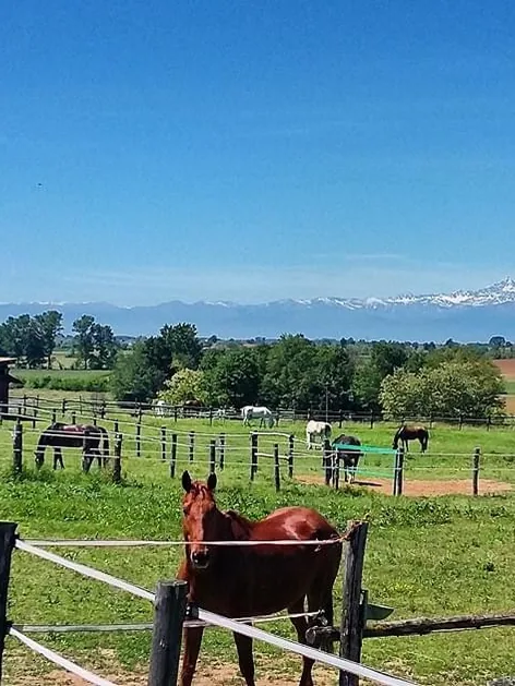 Panoramica del maneggio