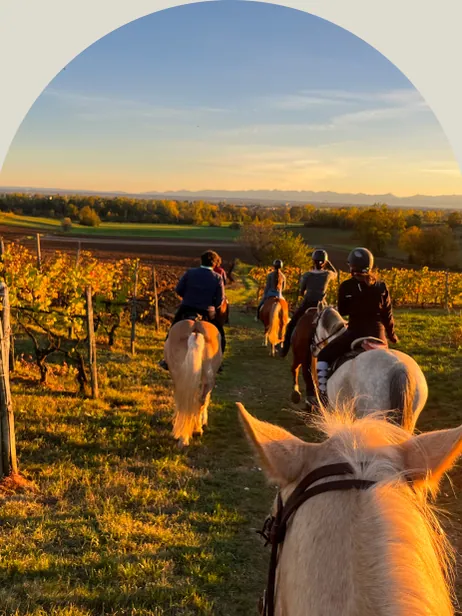 Una passeggiata tra le vigne